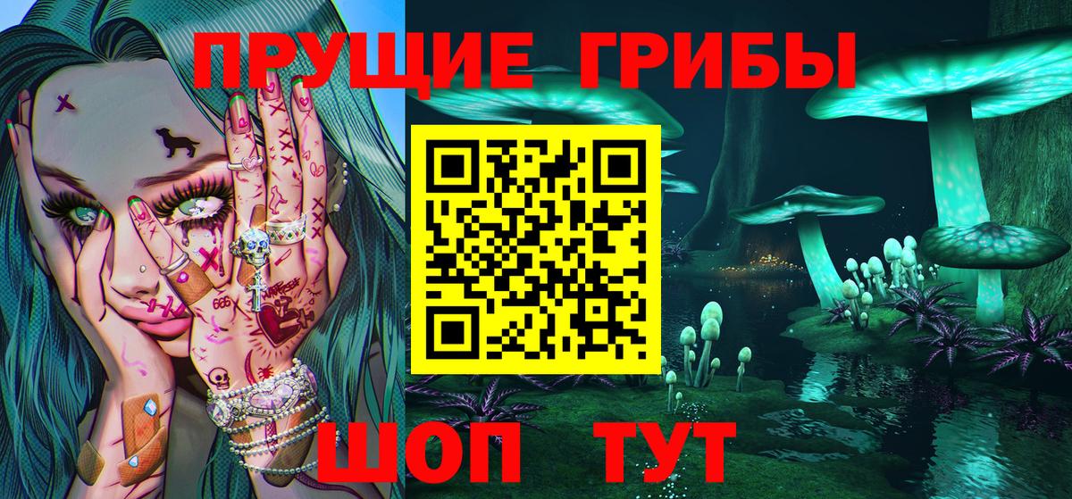 закладки  Вход с VPN  Беслан  Галлюциногенные грибы Psilocybe 